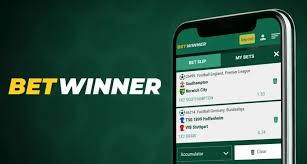 How to Log In to Your BetWinner Account A Comprehensive Guide